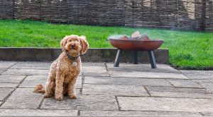 Rempstone Farmhouse garden area